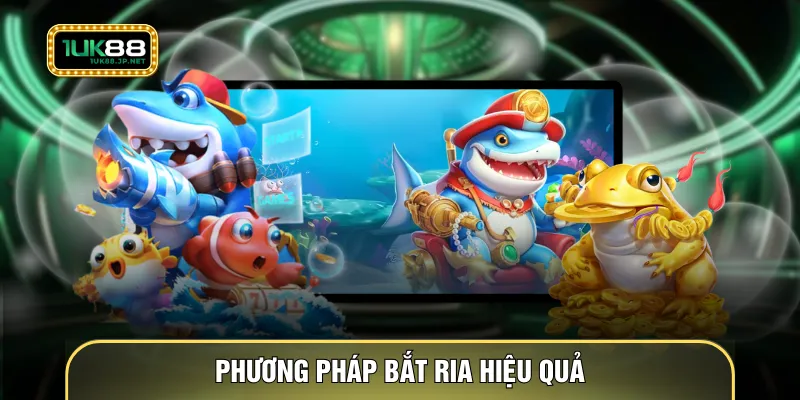 Phương pháp bắt ria hiệu quả